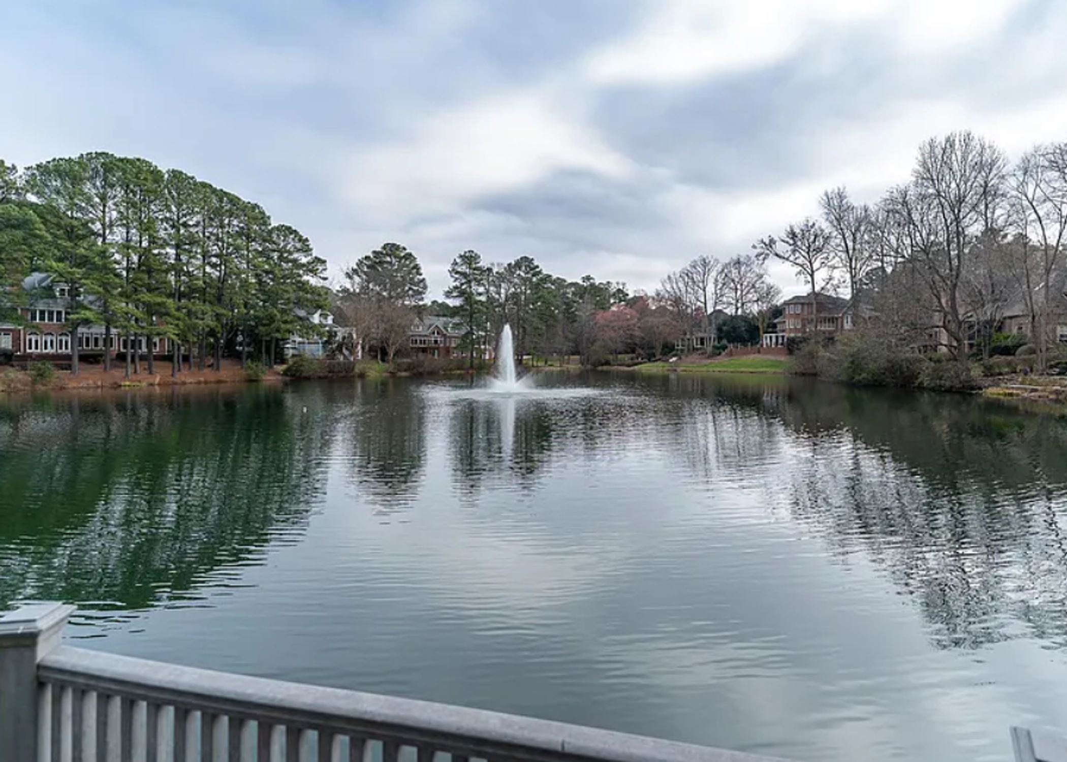 Raleigh-Luxury-Home-For-Sale-58-of-58-Neighborhood-Pond.webp